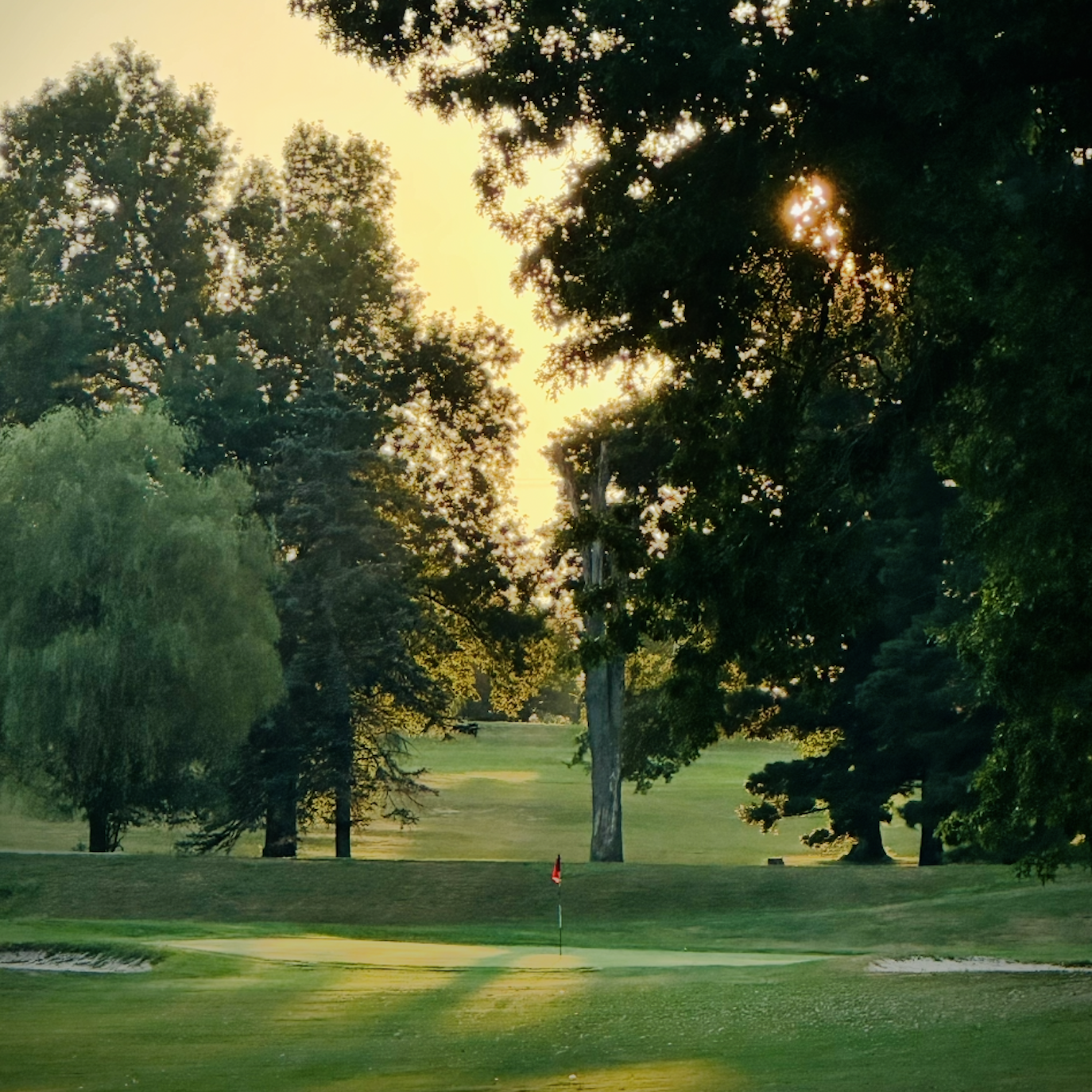 Golf course